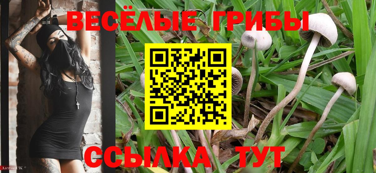 Галлюциногенные грибы GOLDEN TEACHER Когалым