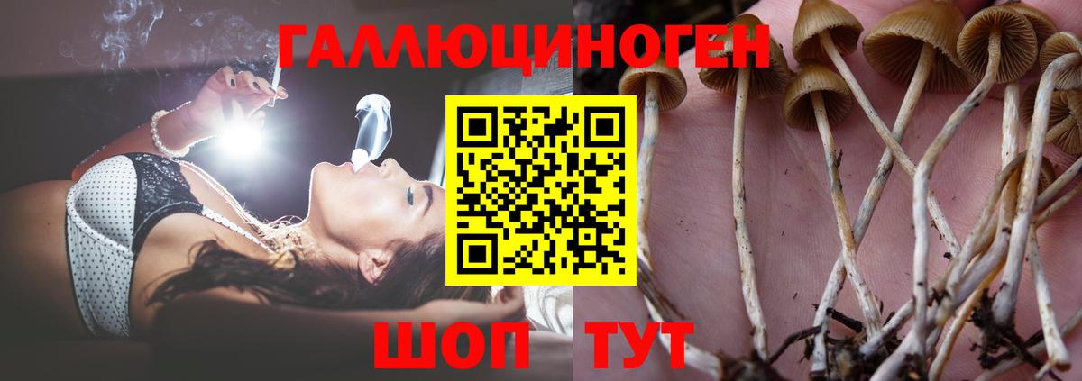 Когалым  Галлюциногенные грибы MAGIC MUSHROOMS  Вход с VPN 